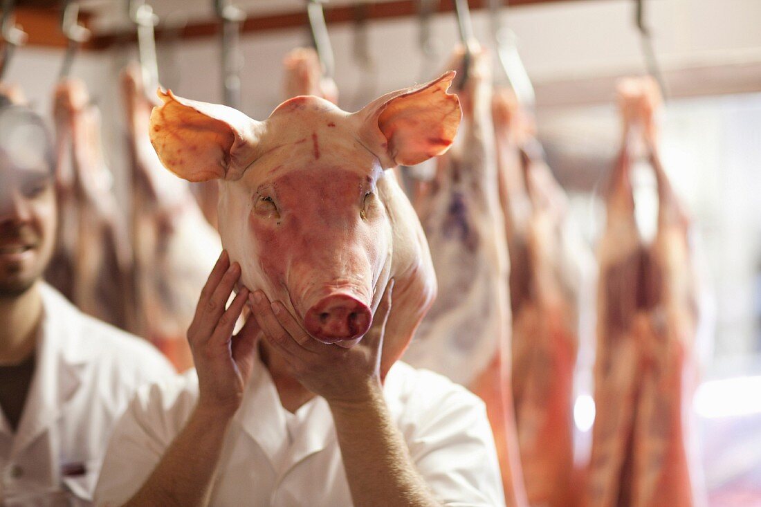 A butcher holding a raw pig's head in front of his face