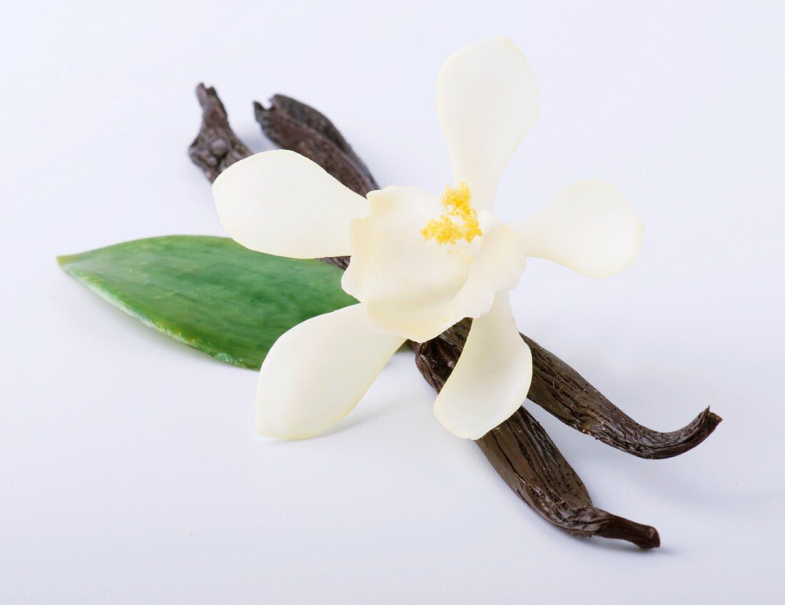 Two vanilla pods and one vanilla flower