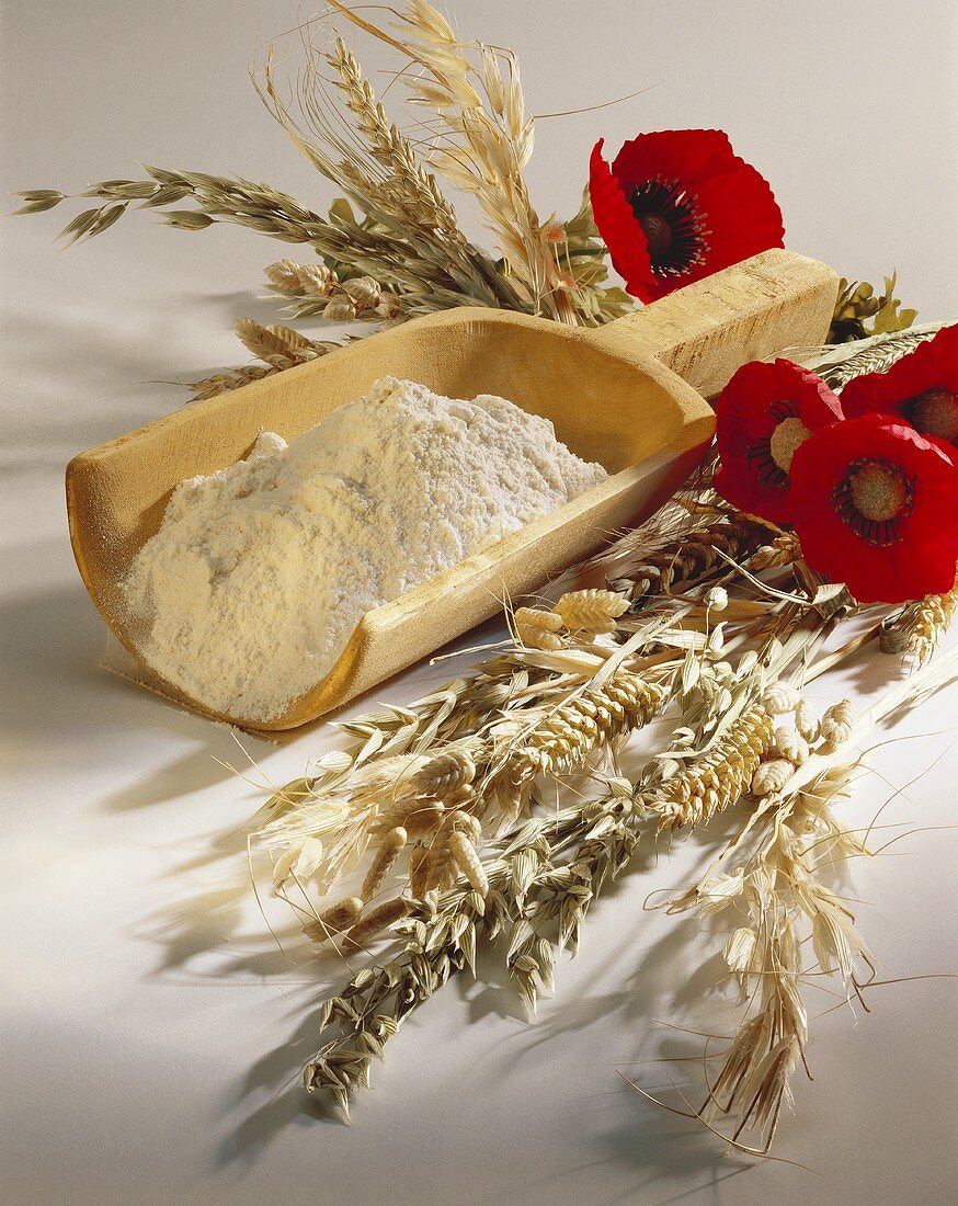 Assorted Grains with Poppies; Flour in a Wood Scoop