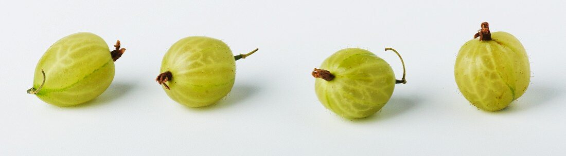 Four gooseberries in a row