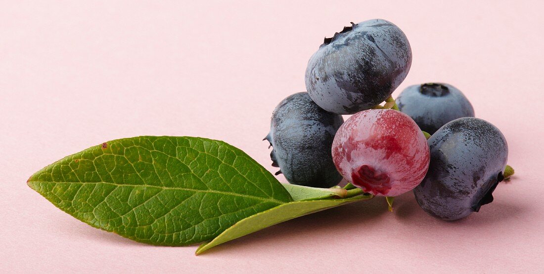 Blueberries with leaves