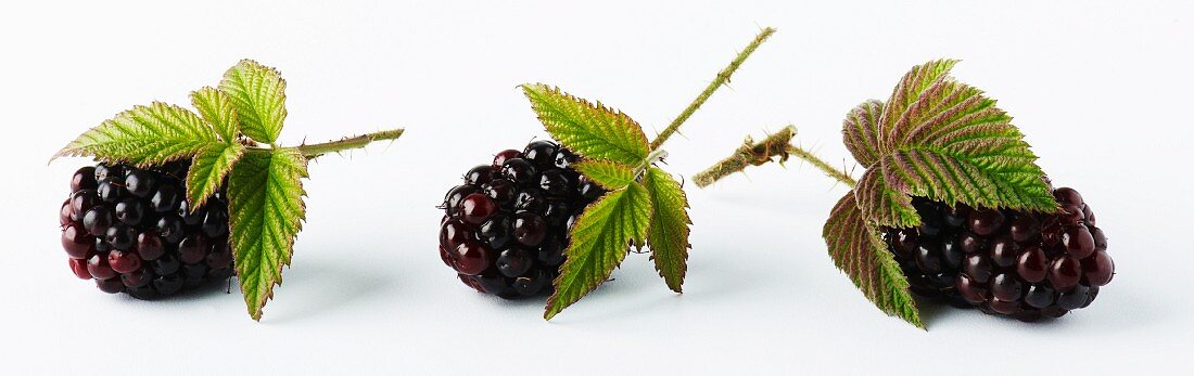 Three Whole Blackberries on a White Background