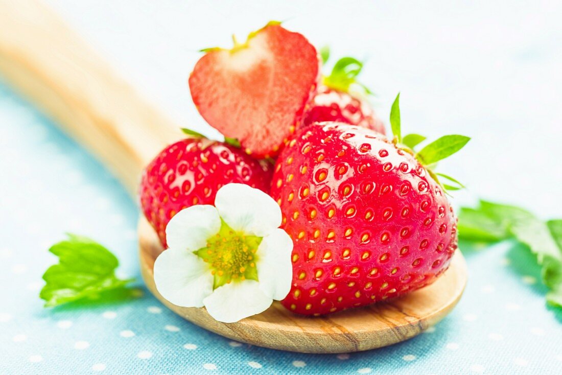 Erdbeeren mit Erdbeerblüte auf Holzlöffel