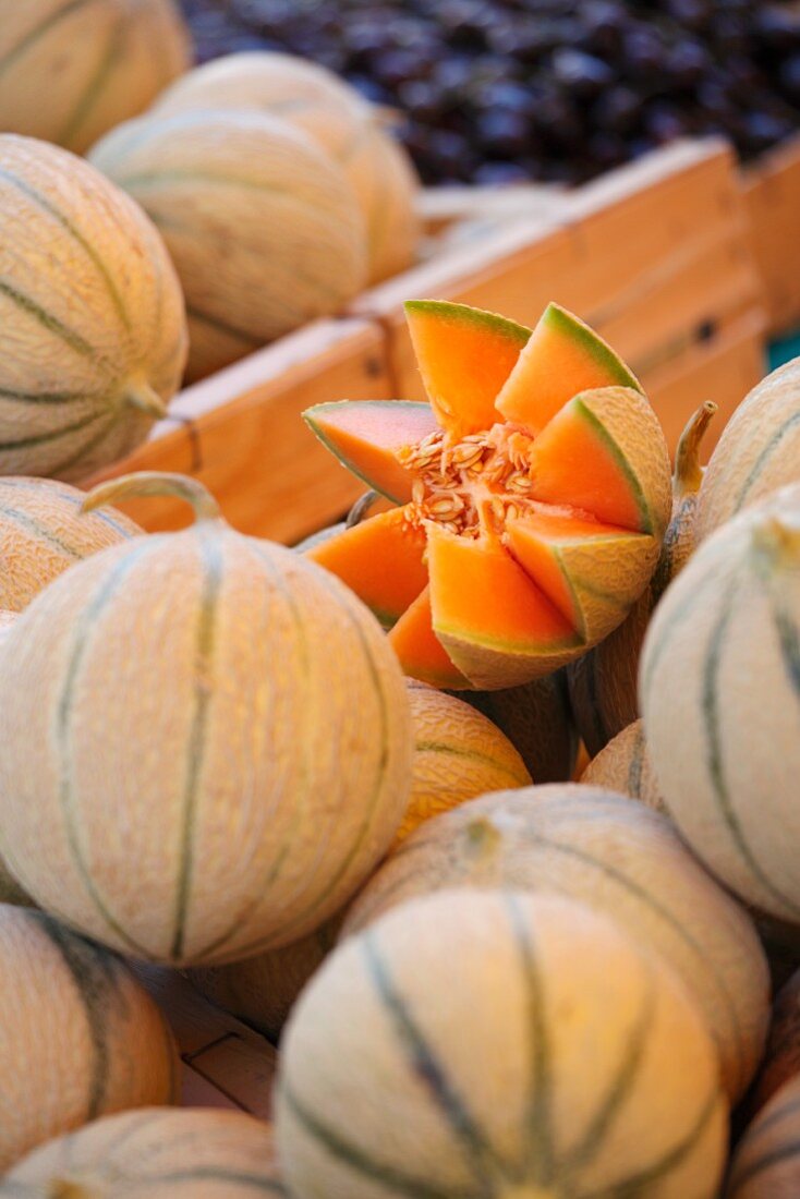 Fresh cantaloupe melons in crates