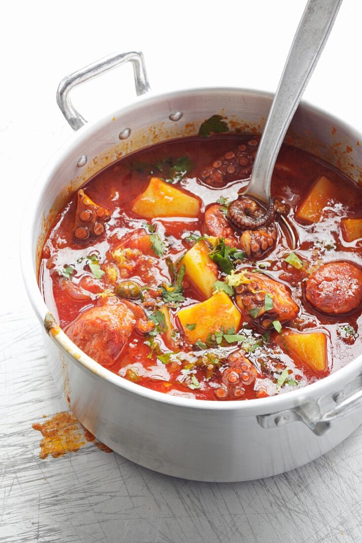 Octopus and chorizo stew