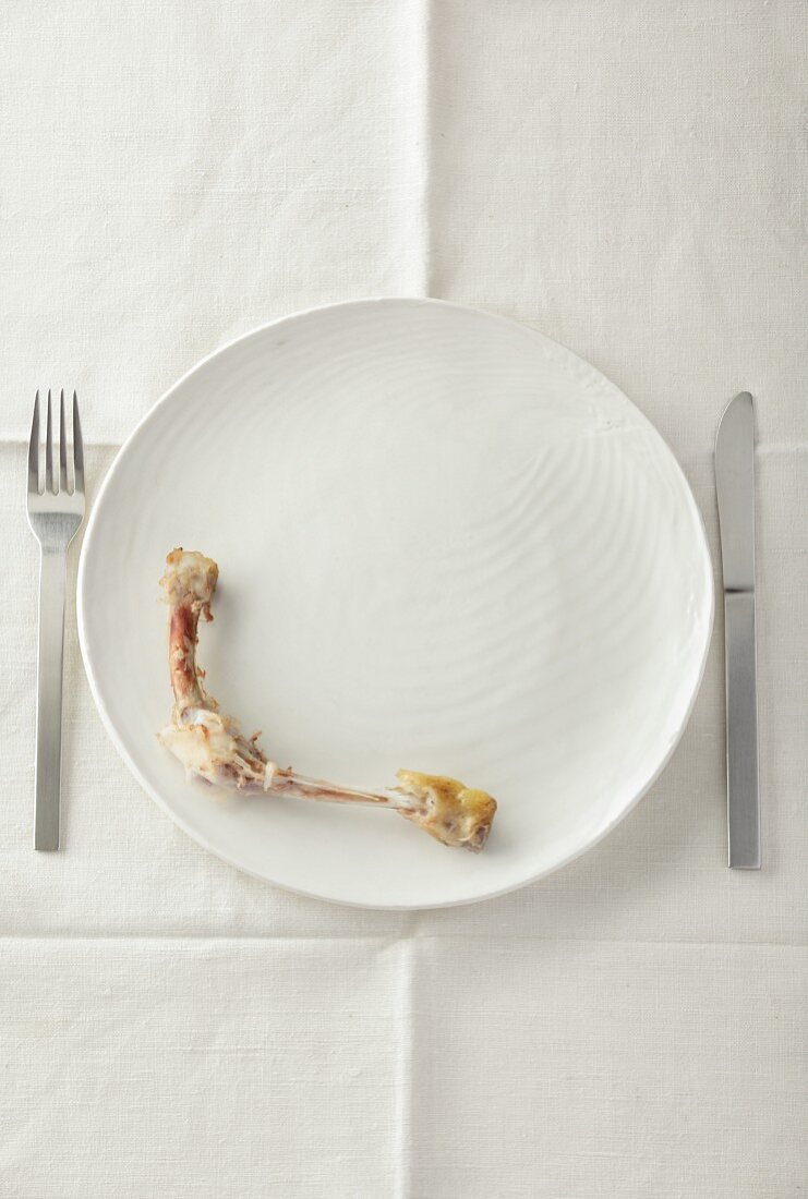 Chicken bones on a white plate