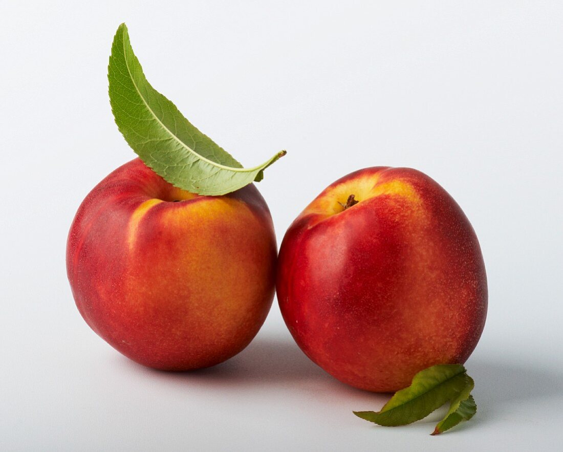 Two nectarines