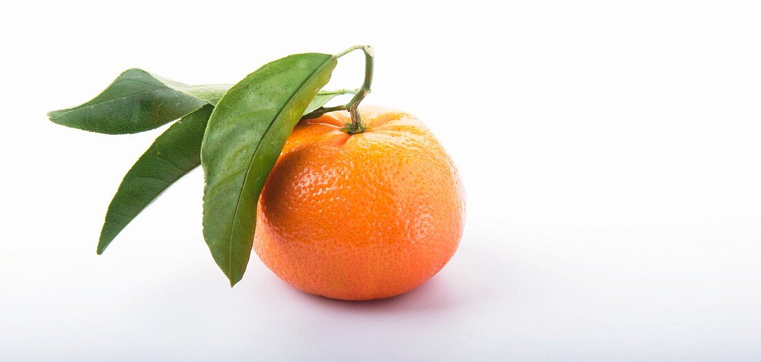 Eine Mandarine mit Mandarinenblättern