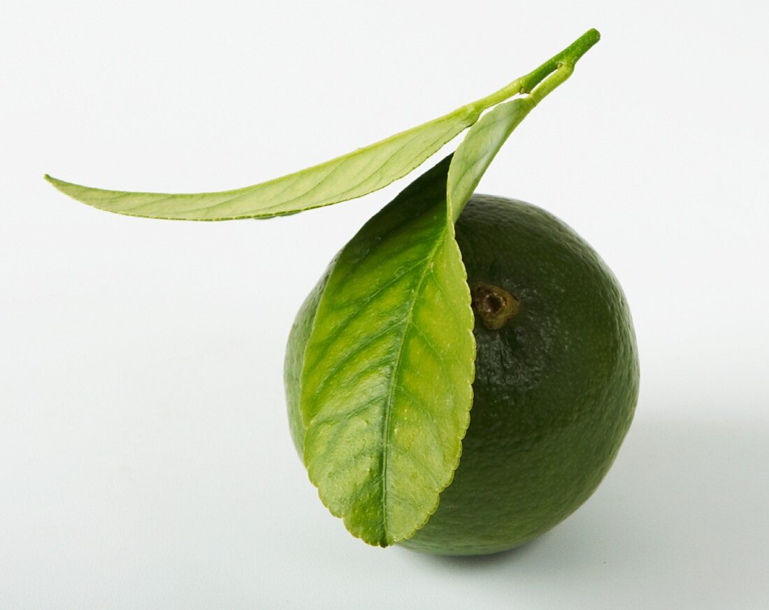 Eine Limette mit Limettenblatt