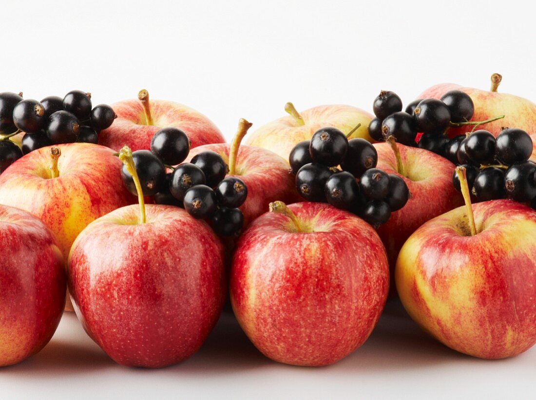 Apples and blackcurrants