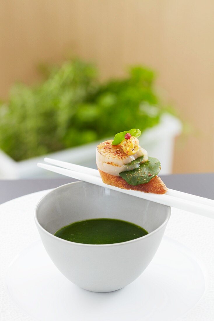 Lamb's lettuce purée with scallop (Asia)