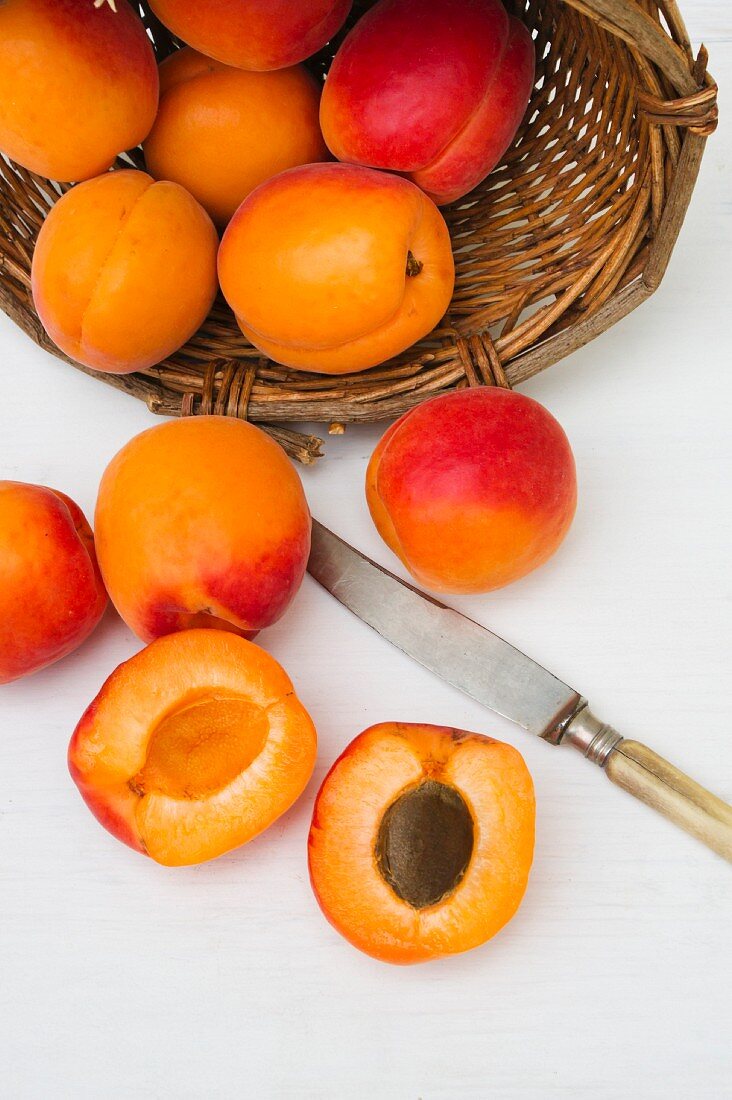 Apricots in and in front of a basket, with a knife
