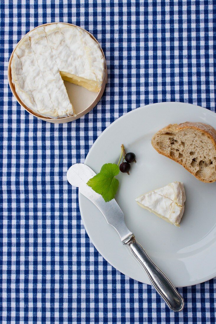 Camembert with a slice of baguette and blackcurrants (view from above)