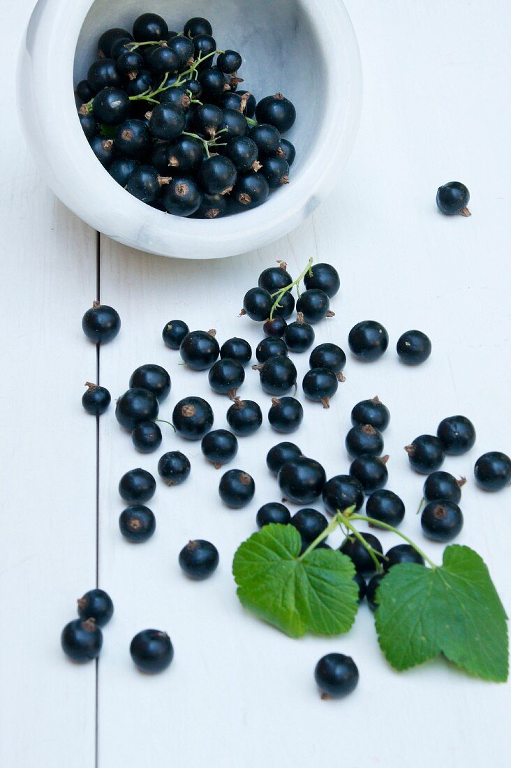 Blackcurrants in a marble bowl and on a table