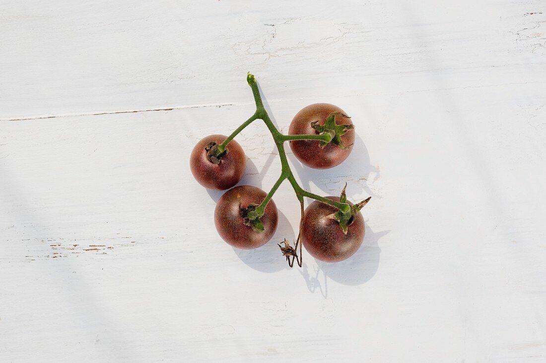Tomatoes of the variety 'Black Cherry'
