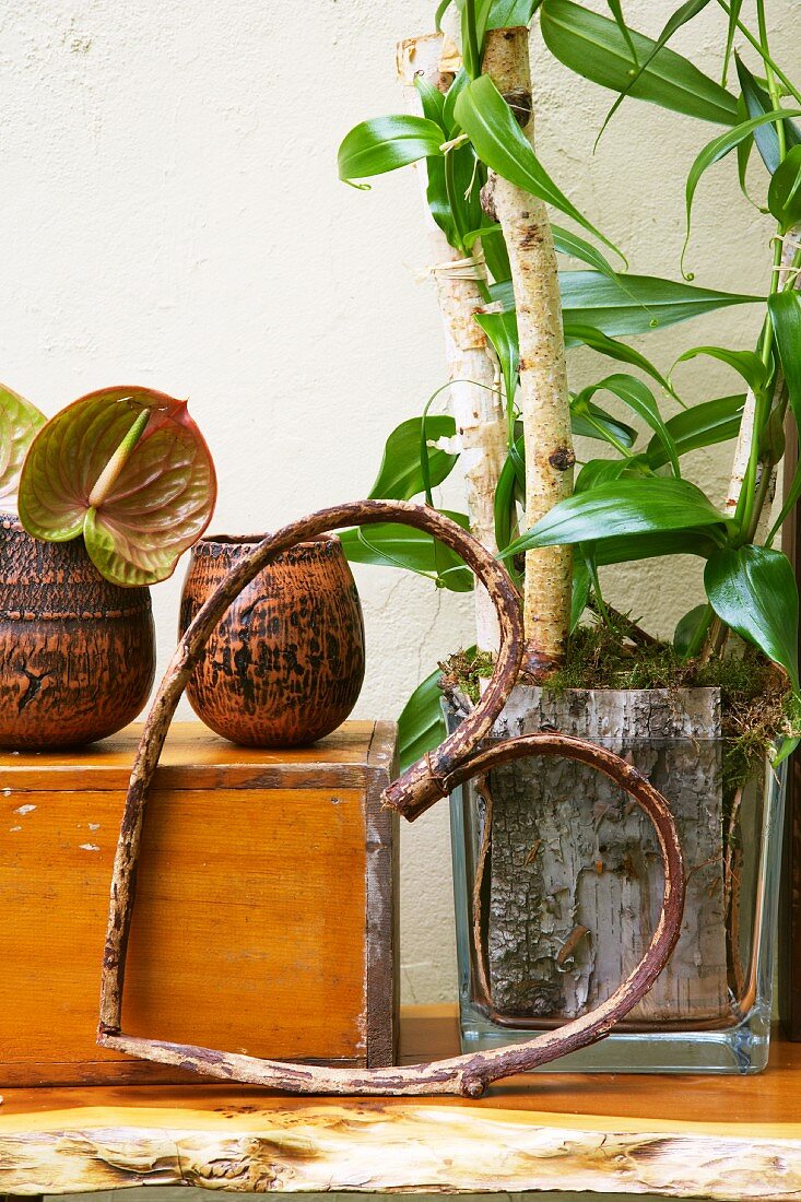 Heart made of twigs in front of potted plants