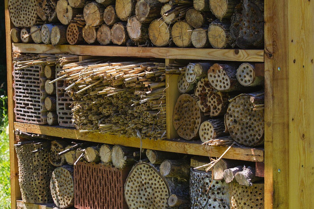 An insect house in a garden