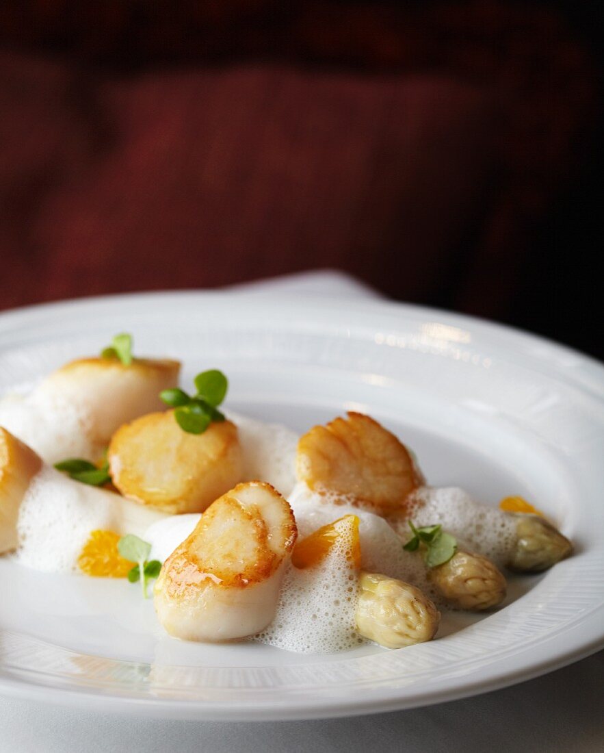 Scallops with white asparagus and white wine foam