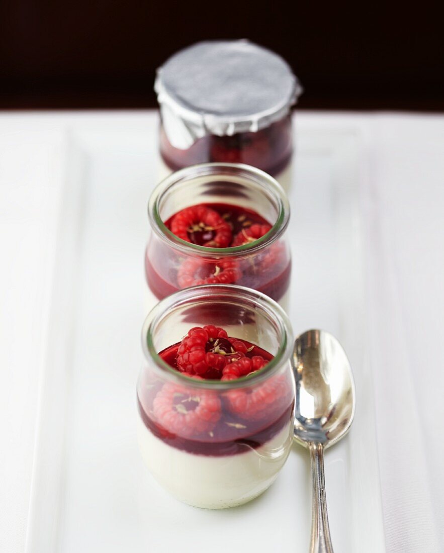 Vanilla pudding with raspberries and aniseed