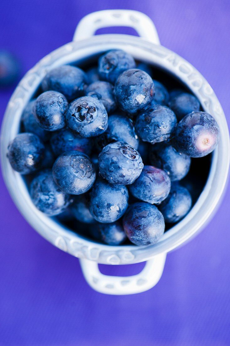 pot of fresh blueberries