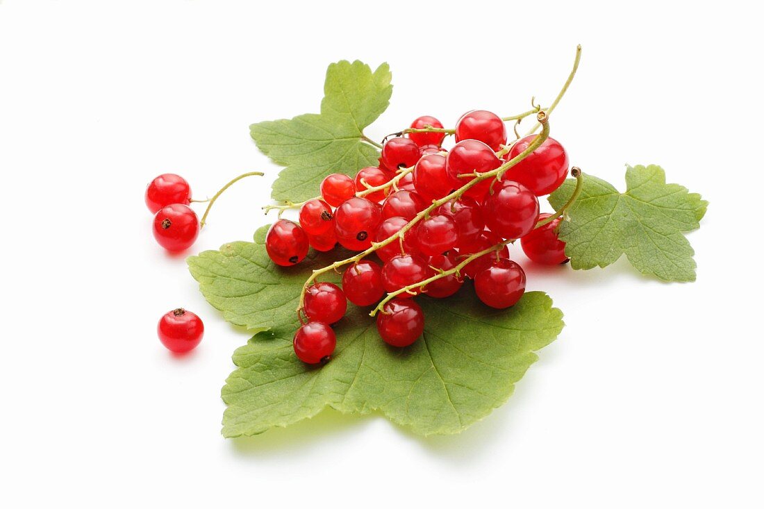 Redcurrants on a leaf