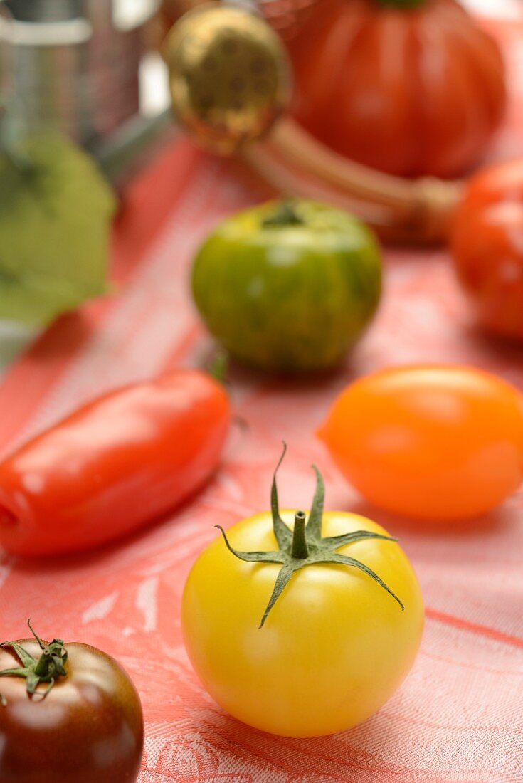 Tomaten in verschiedenen Farben und Sorten