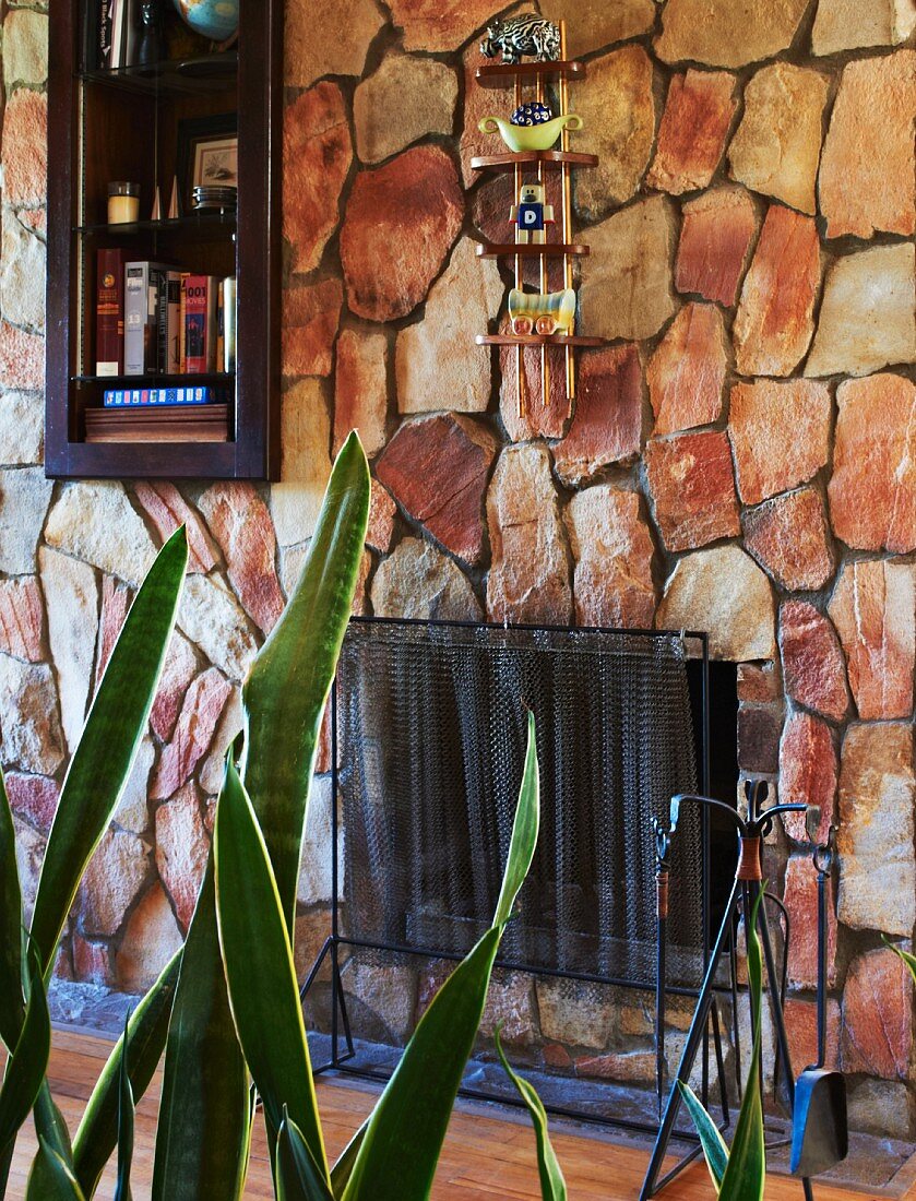 Stone wall with metal fire screen, shelves in niche and ornaments on miniature, wall-mounted shelves; Sansevieria in foreground