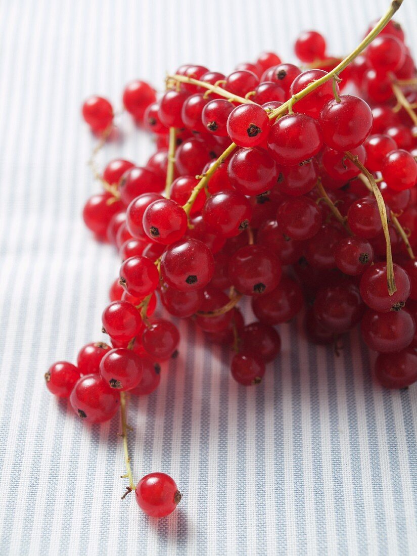 Rote Johannisbeeren auf gestreiftem Untergrund