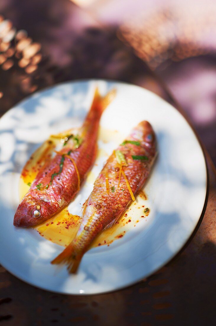 Grilled red mullet