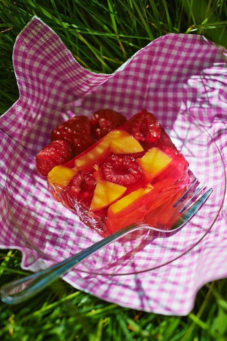 Früchteterrine mit Gelee zum Picknick