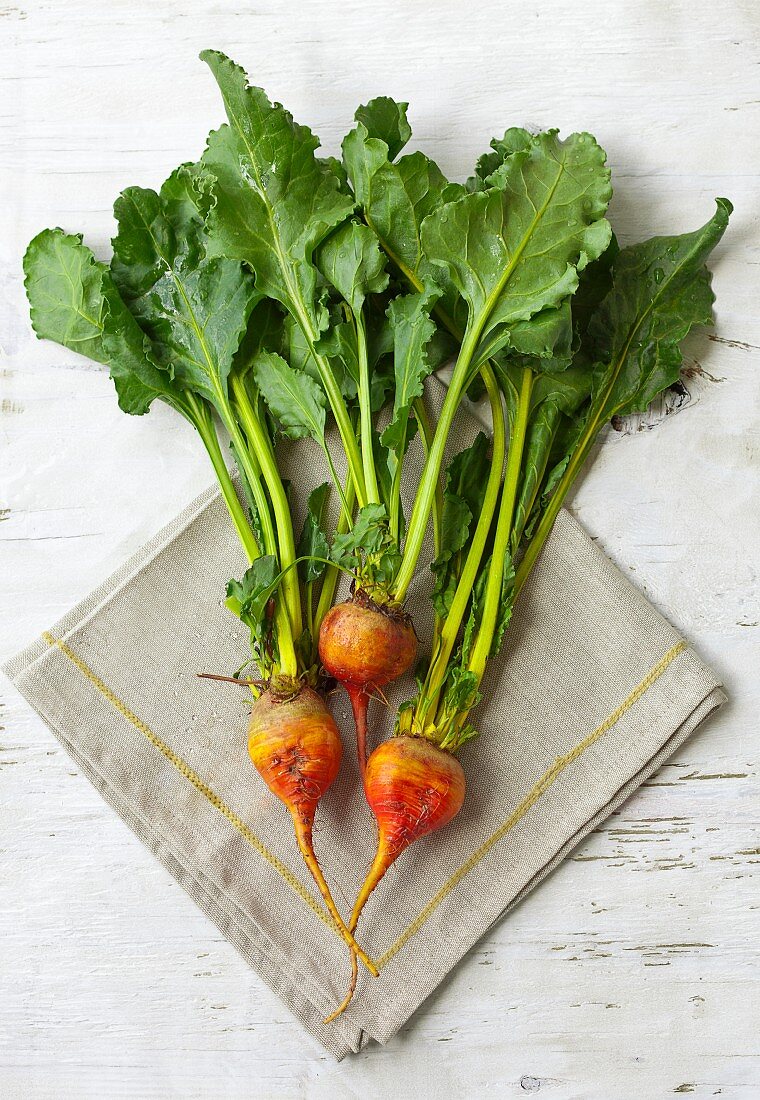 Three Golden Beets with Stems