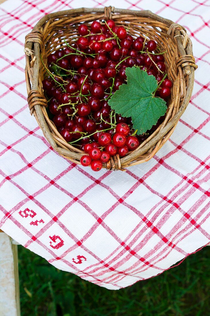 Rote Johannisbeeren in Körbchen auf Tisch im Freien