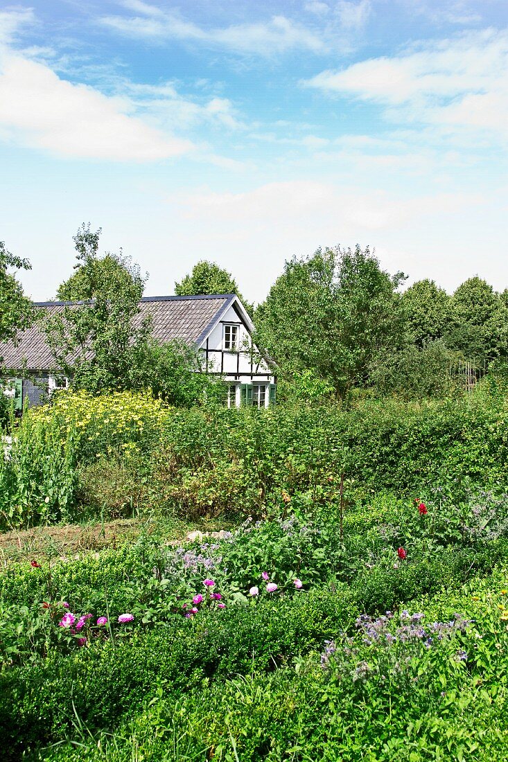Farmhouse with large garden