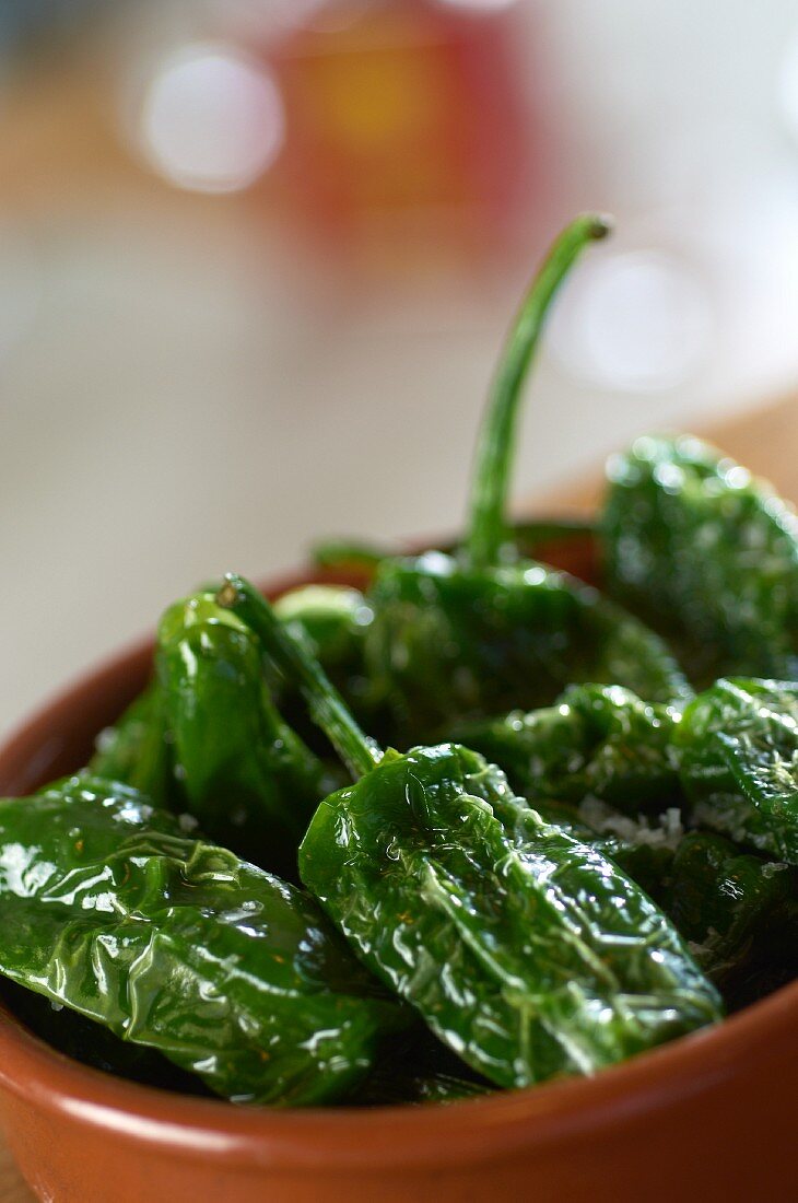 Fried poblano peppers