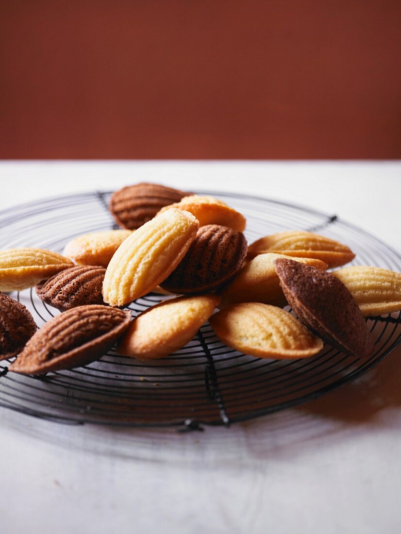 Madeleines auf Kuchengitter