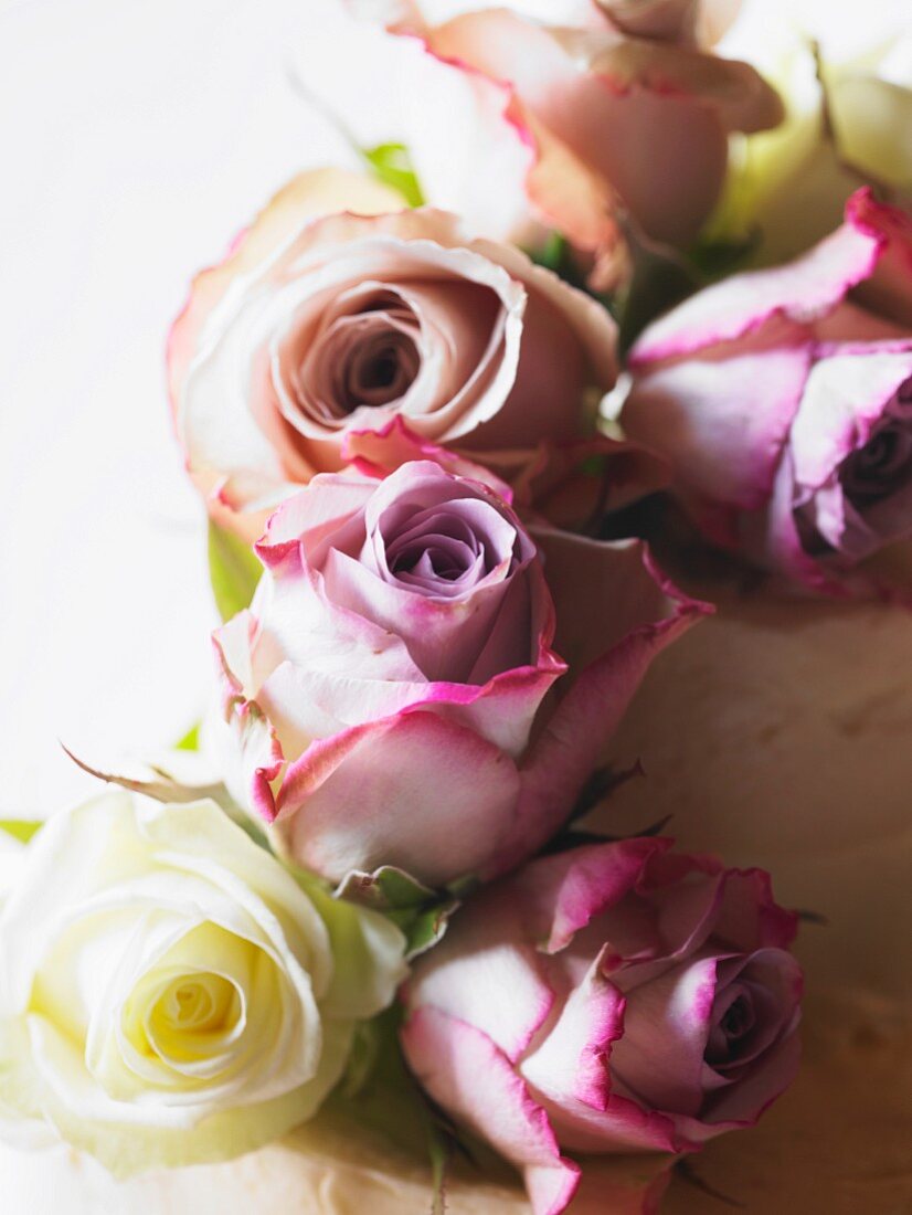 Wedding cake with rose decoration (close-up)