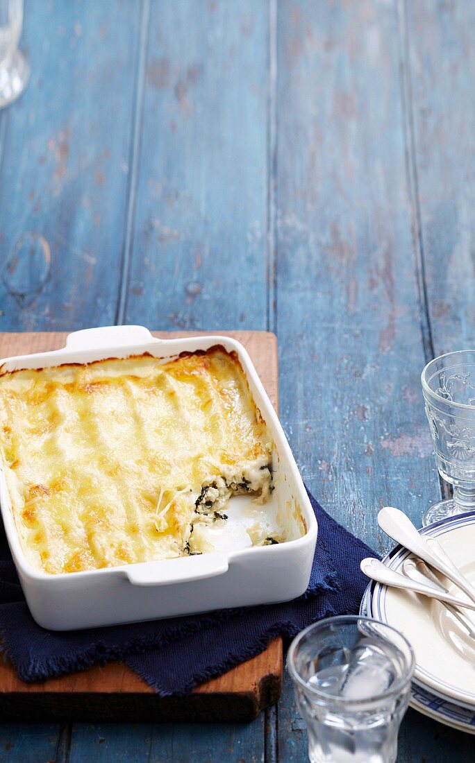 Cannelloni mit Ricotta und Spinat