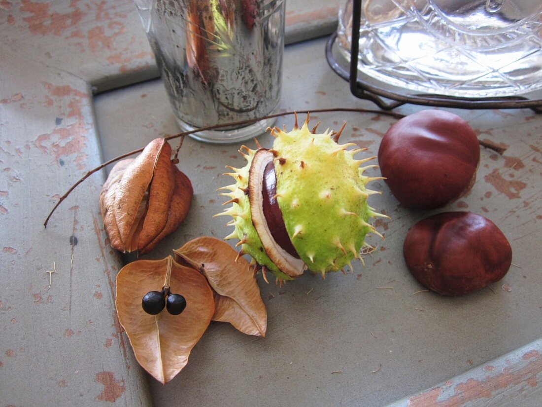 Esskastanien und Trockenfrüchte als Herbstdeko