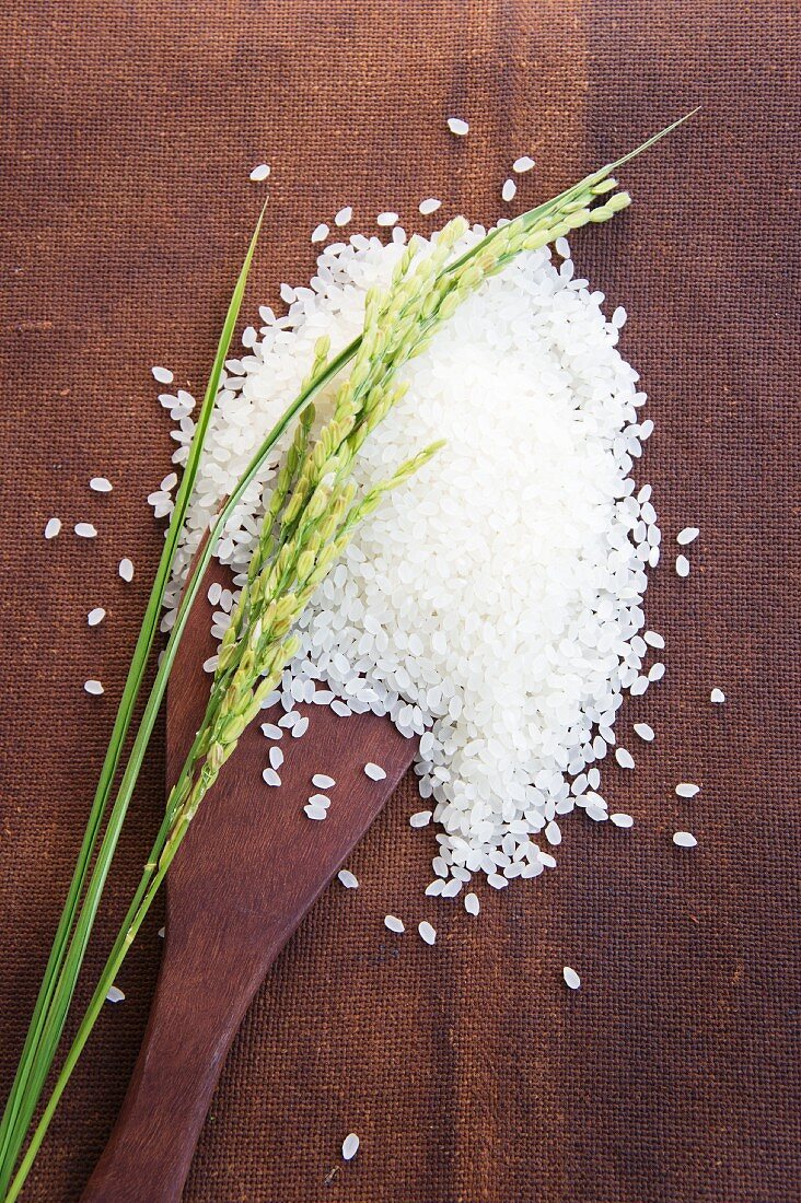 Ears of rice on a mound of rice