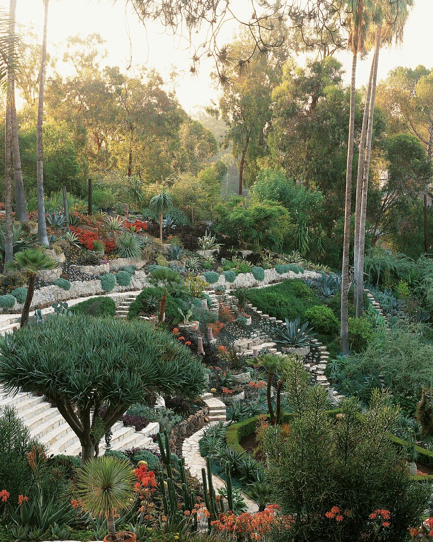 Wüsten-Garten mit Treppenwegen in Los Angeles, Kalifornien