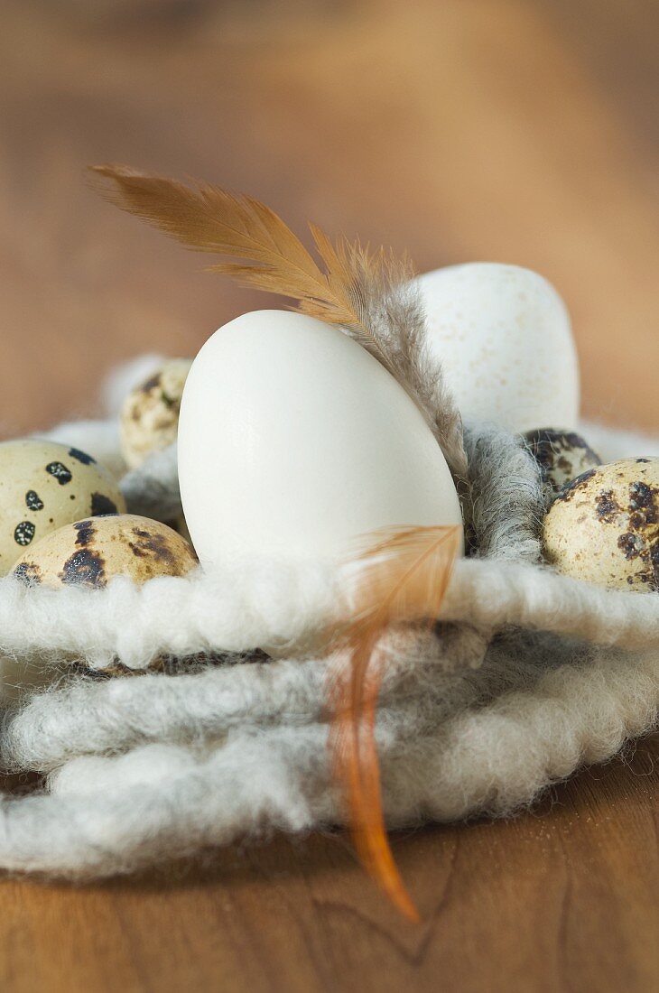 Eier und Federn im Osternest