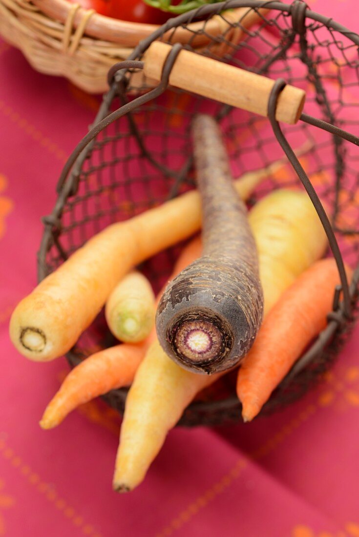 Bunte Karotten im Drahtkorb