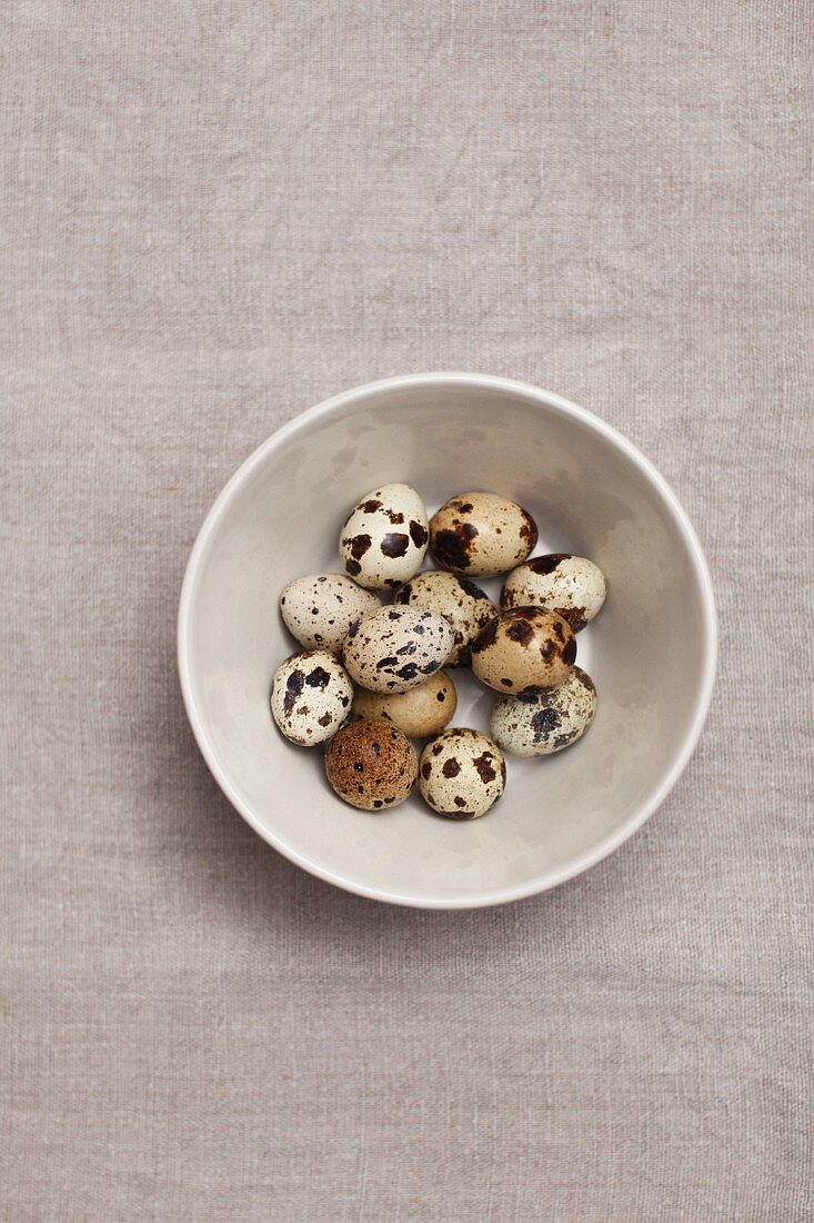 Quail's eggs in a bowl (view from above)