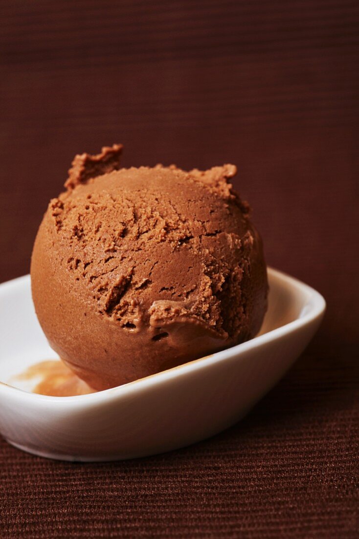 A scoop of chocolate ice cream in a bowl