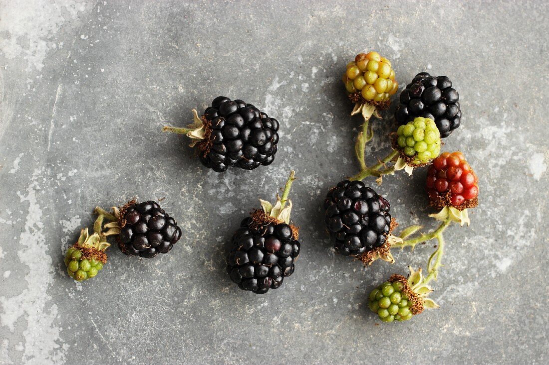 Ripe and underripe blackberries (view from above)