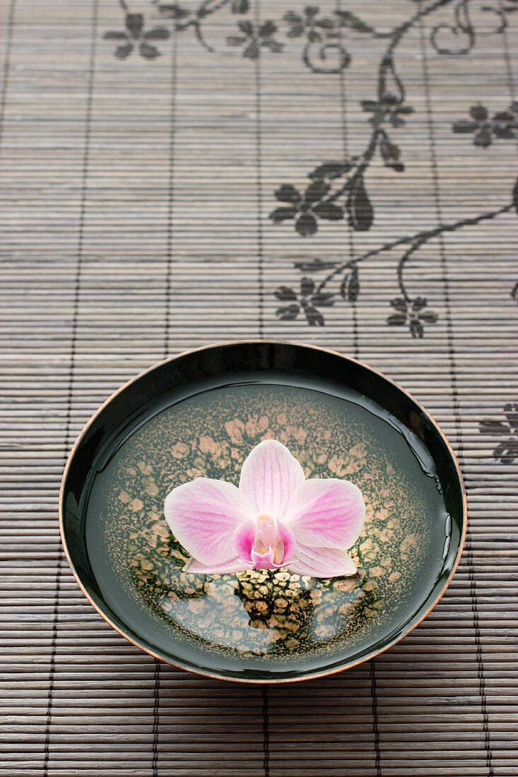 Eine Orchideenblüte in asiatischem Schälchen mit Wasser