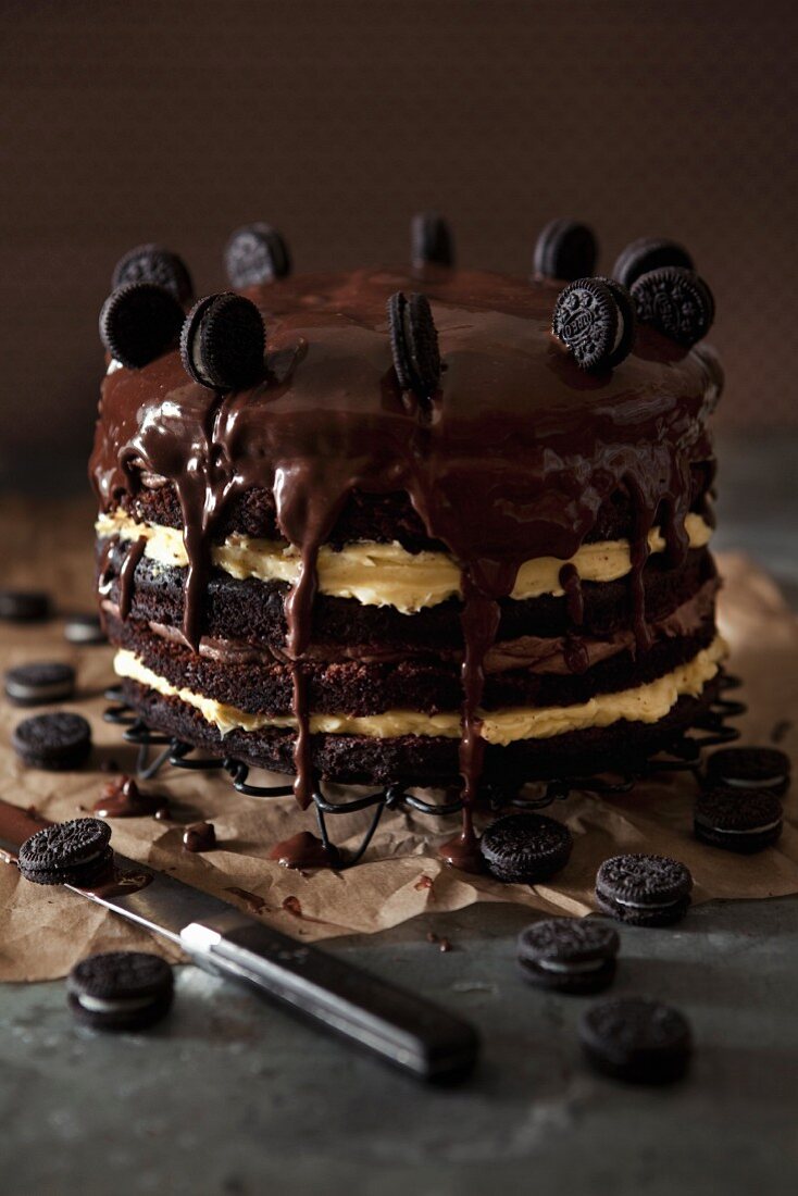 A chocolate layer caked with light and dark cream and chocolate biscuits