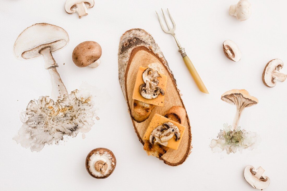 Crostini mit Champignons und Cheddar