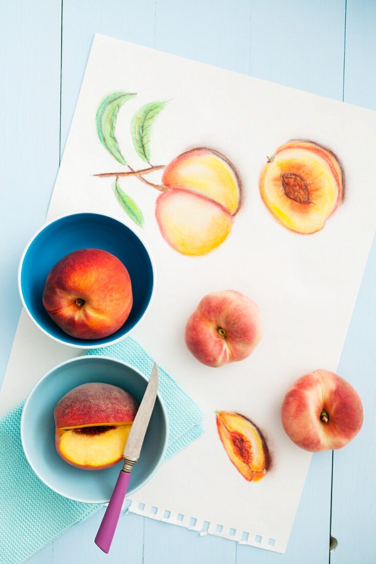 Fresh peaches and drawings of peaches