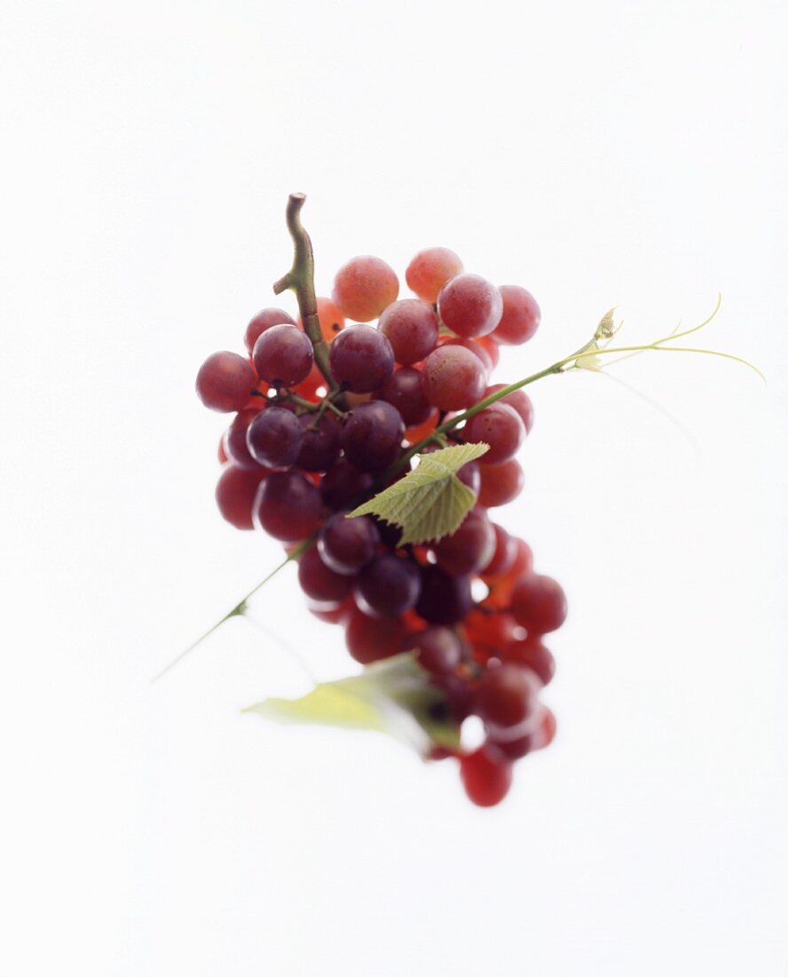 Red grapes